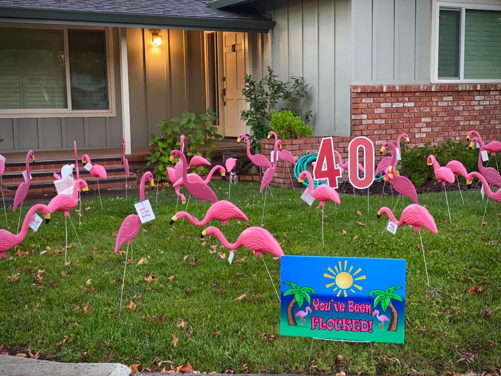 The Fancy Flamingo